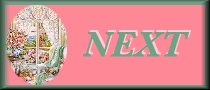 NEXT BUTTON