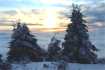 SUNRISE ABOVE SNOWY PINES