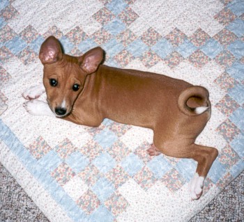 Baby Dan in his birthday suit