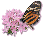 Monarch