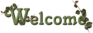 Nice To Have You