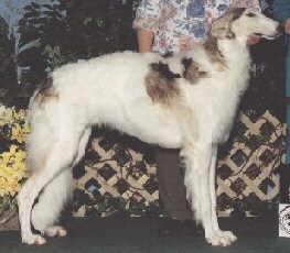 MBCROCK.jpg (36092 bytes)