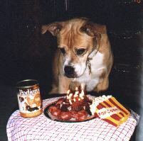 ash.jpg (19476 bytes)