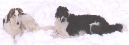 rbsnow3.jpg (24512 bytes)