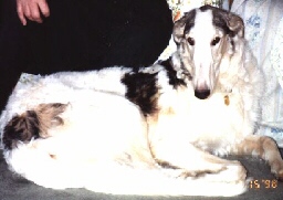 rockdown.jpg (22966 bytes)