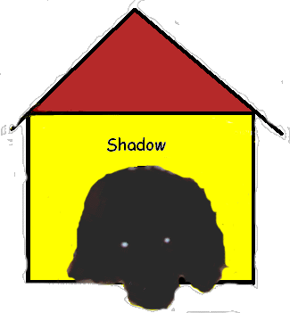 Shadow