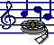 Midi