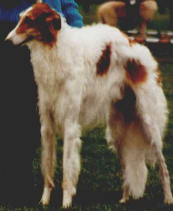 mody.jpg (12330 bytes)