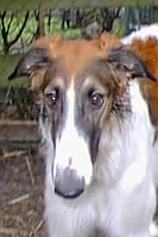 moneyface.jpg (63504 bytes)