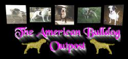 American Bulldog Outpost