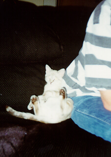 Missy Watching TV with Dad