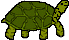 Turtle Image