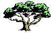 Family Tree