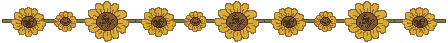sfl_line02.gif (4163 bytes)