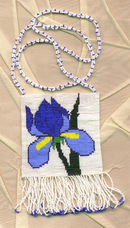 Iris Swap
