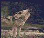 Wolves