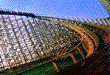 Wildcat zooms by