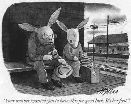 Bunny Comic 1