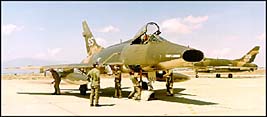 f100ds.jpg (12342 bytes)