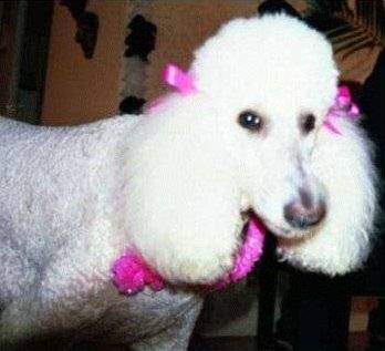 Penny's Birthday Photo