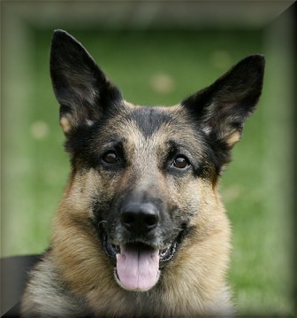 Arko age 7 years