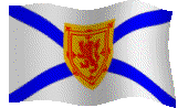 ns-flag1.gif (35643 bytes)