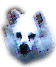doghead