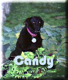 My Cousin Candy