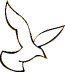 plain white dove in flight position