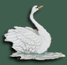 Swan, facing right