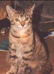 Mable