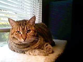 Mable Today