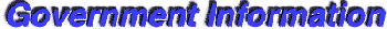 Government 
Information