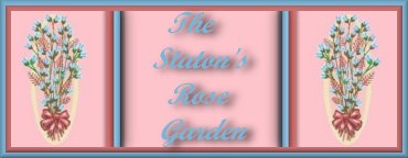 StatonBanner