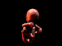 ultramoving-baby.gif (12192 bytes)