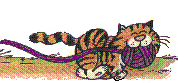 Classic Cats