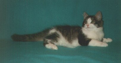Frannie