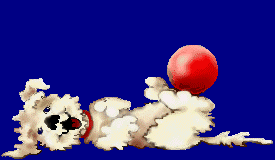 dog with ball