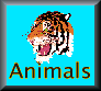 Animal Page