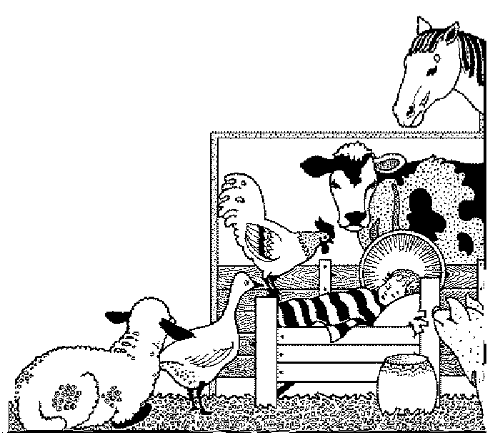 barnyard.gif (20253 bytes)