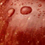 I know these pictures take a little while to load, but please be patient.