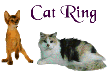 catring