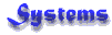 Information Systems Experience