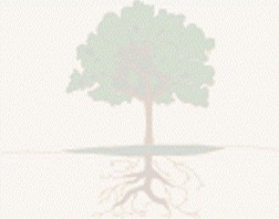 ghost-tree.jpg (12614 bytes)