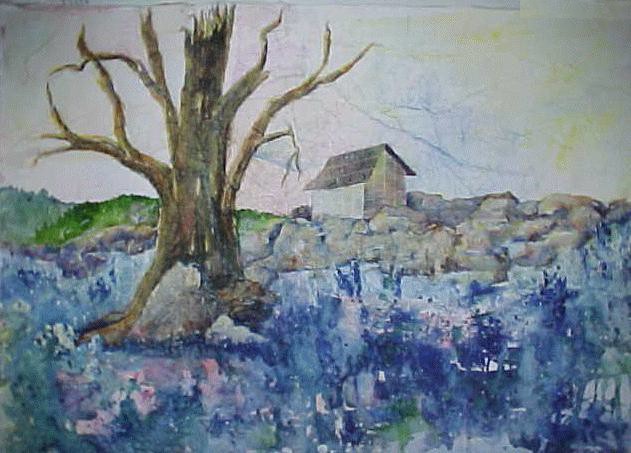 Behind Opa's Barn
