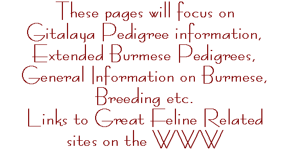 a-focus.gif (6131 bytes)