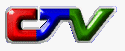 CTV-logo
