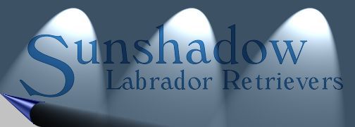 CLICK HERE to enter the NEW SUNSHADOW web site