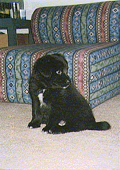 Miko's picture