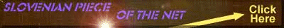 Slovenia on the Internet